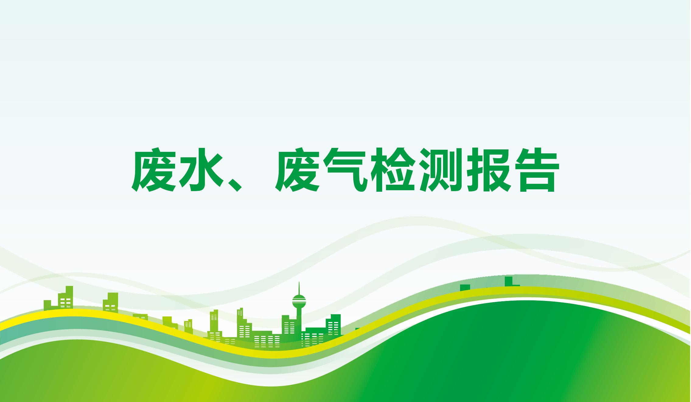 废水、废气检测报告-海一