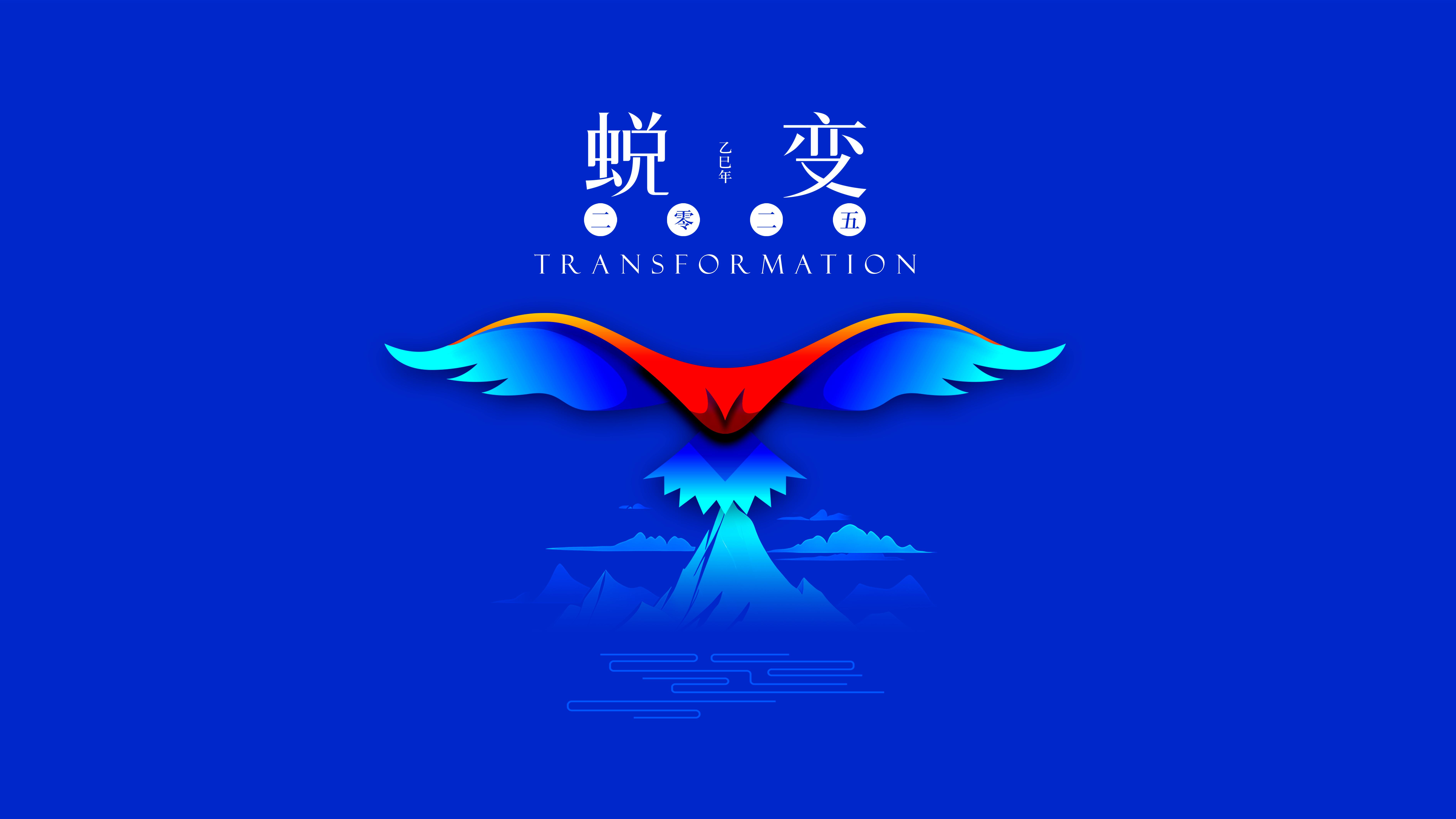 我与LETOU的2024，期待2025年与您一起续写美好篇章